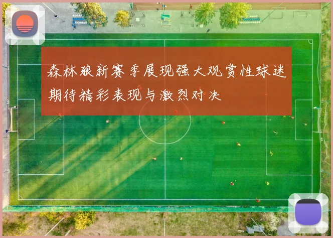 森林狼新赛季展现强大观赏性球迷期待精彩表现与激烈对决
